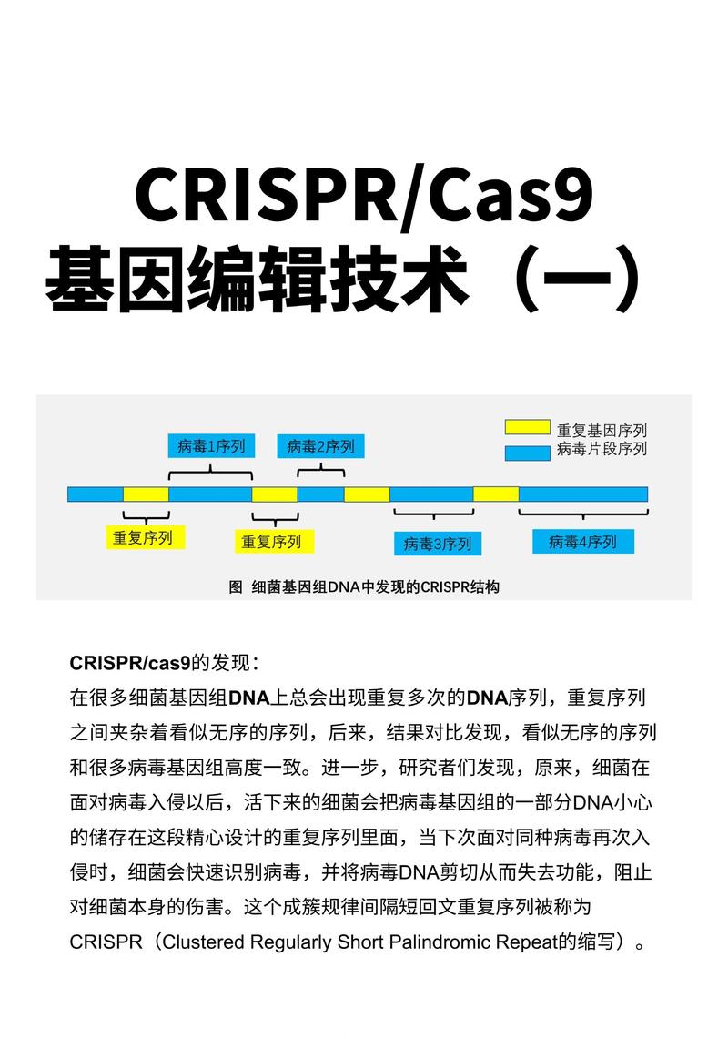 吉沃生物：生物科技行业的领航者