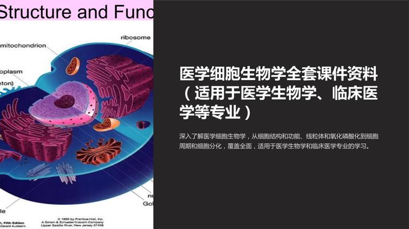 生物技术服务：推动生命科学进步的关键力量