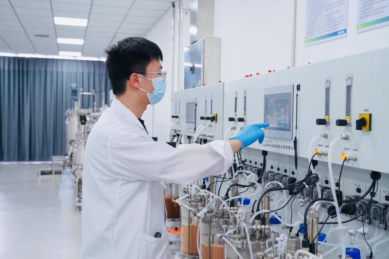 生物技术的创新服务之旅
