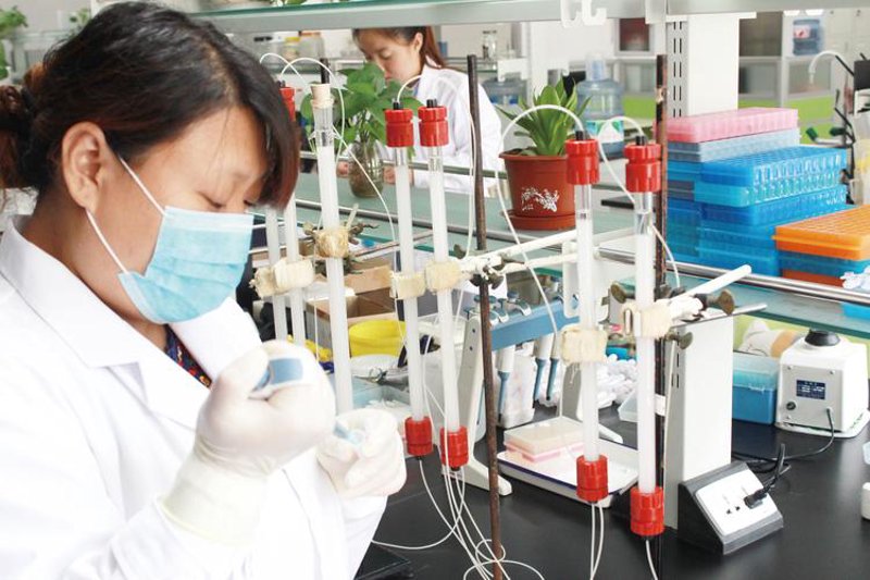 生物技术与服务：一场科学与创新的盛宴