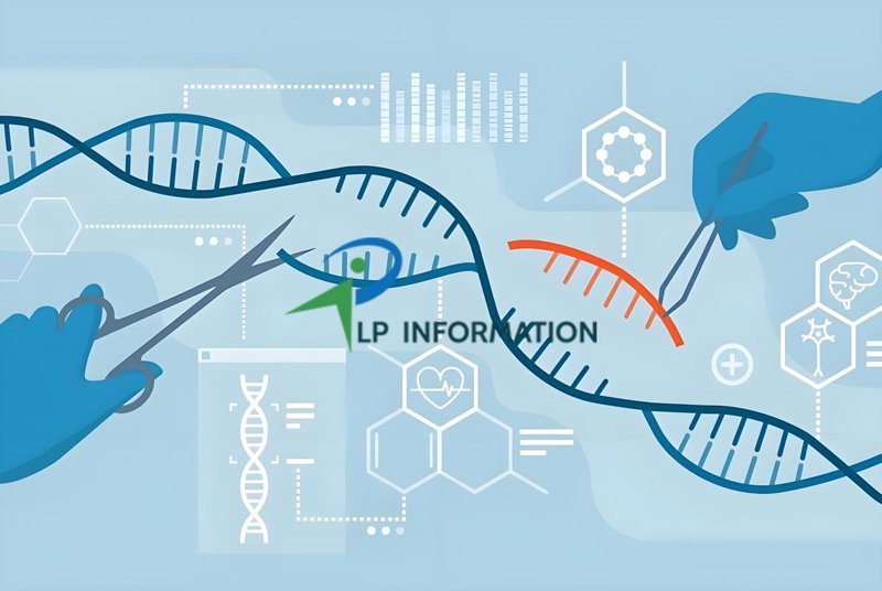 分子生物学实验：探索生命的奥秘