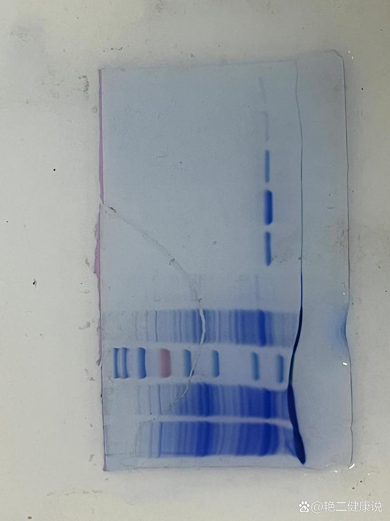 生物技术服务:为您保驾护航的隐形英雄